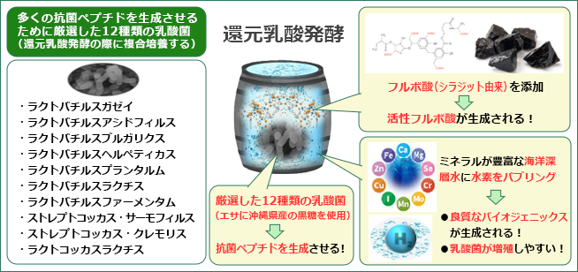 還元乳酸発酵の工程図