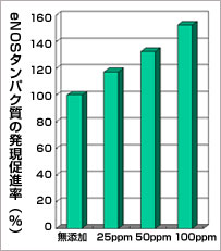 eNOS産生促進作用