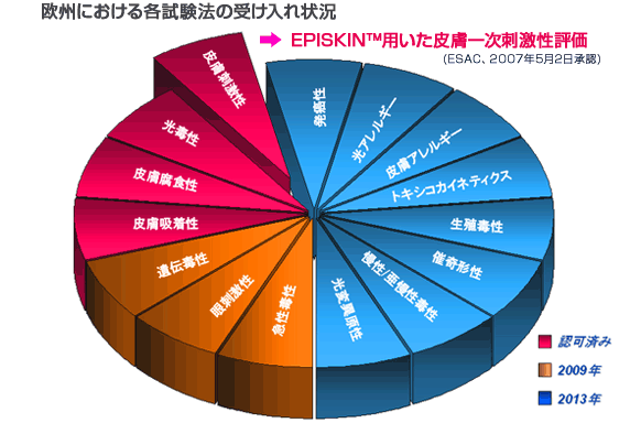 欧州における各試験法の受け入れ状況 　EPISKINTM用いた皮膚一次刺激性評価 