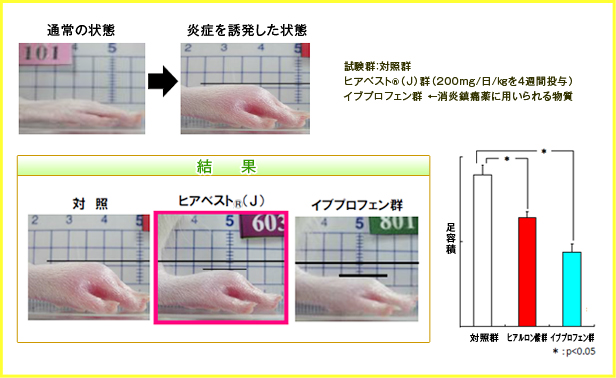 足の炎症を誘発したラットを用いての炎症抑制の確認