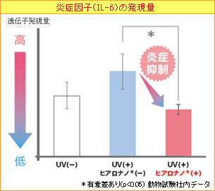 細胞へのヒアルロン酸透過速