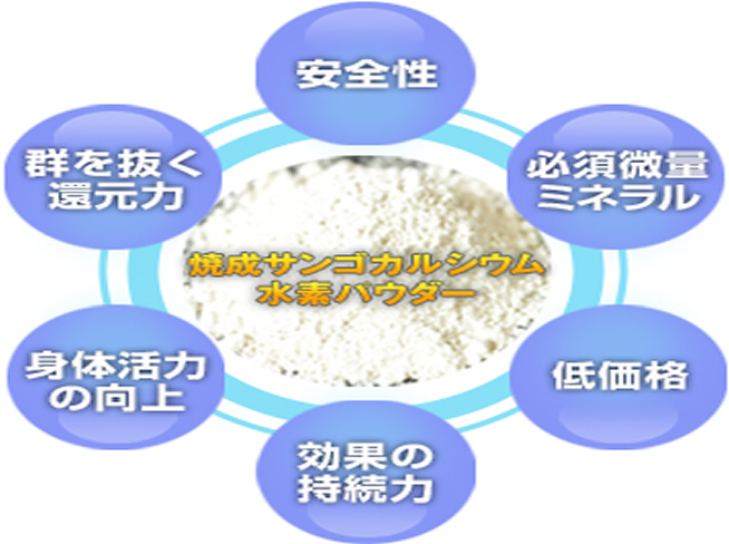 焼成サンゴカルシウム水素パウダー