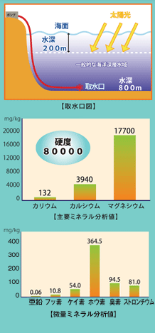 溶解水素量　認定書