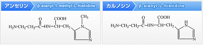 アンセリンとカルノシンの化学式