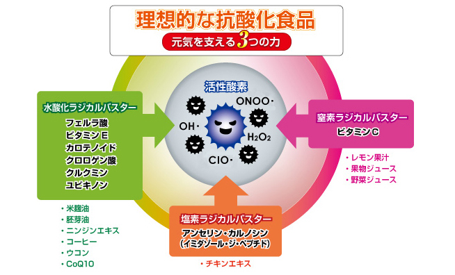 理想的な抗酸化食品