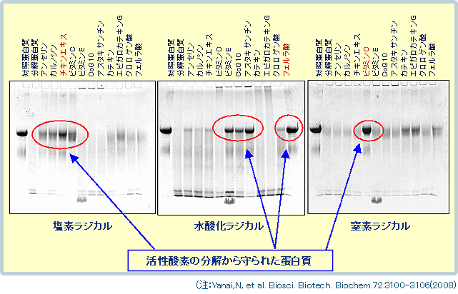 試験結果