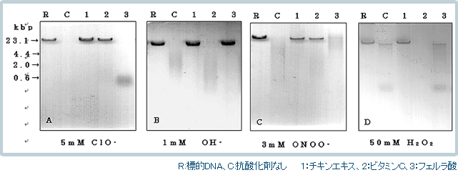 試験2