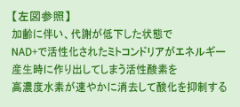 高濃度水素が速やかに消去して酸化を抑制