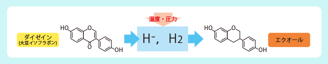 「エクオール」を作り出した特許出願済原料