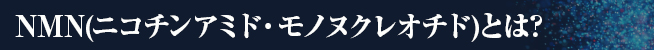 NMN(ニコチンアミド・モノヌクレオチド)とは?