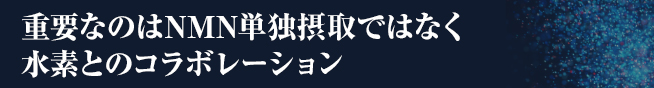 重要なのはNMN単独摂取ではなく