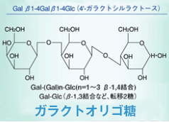 「ガラクトオリゴ糖（GOS）」整腸作用　機能性食品素材