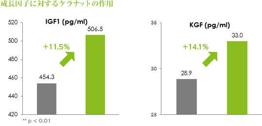 成長因子に対するケラナット（KERANAT）の作用