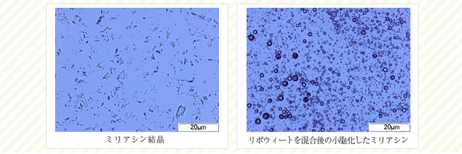 リポウィートはスキンケア原料として開発された素材