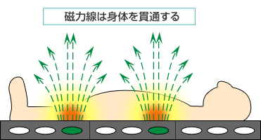 身体を貫通する磁力線