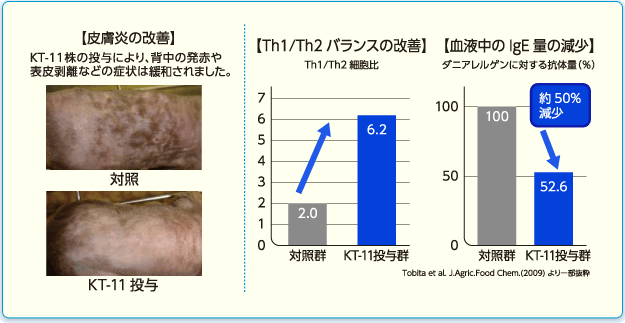 皮膚炎の改善　実験結果