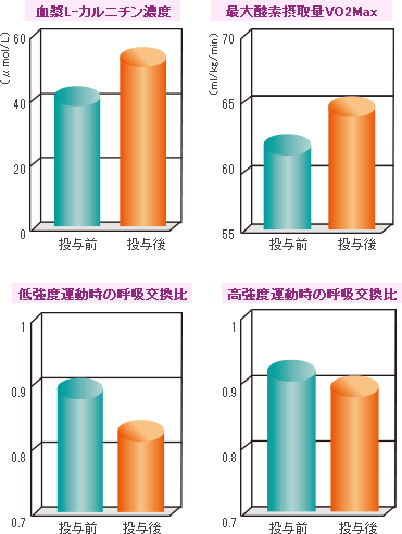 L-カルニチン濃度