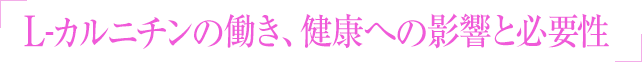 L-カルニチンの動き、健康への影響と必要性