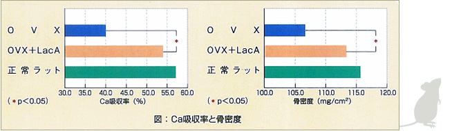 ラットCa吸収率と骨密度試験データ