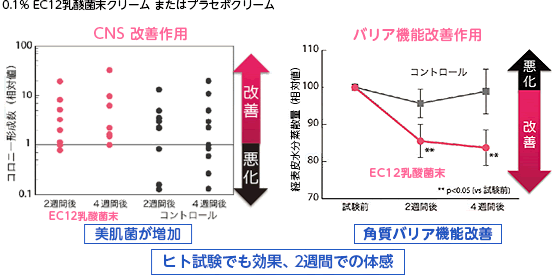 ラ・フローラEC-12（La Flora EC-12）クリームまたはプラセボクリーム