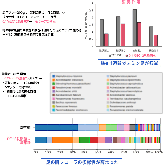 肌フローラの多様性