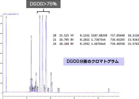 実証されたDGDGのアンチエイジング効果