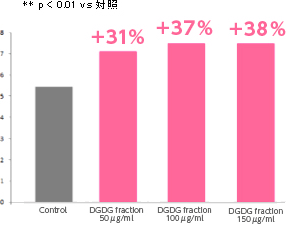 プラセボに対するリポウィート（lipowheat）の保湿効果