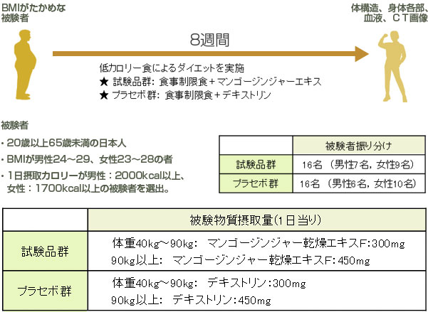 ヒト試験