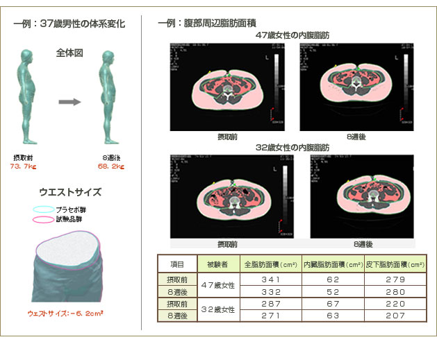 ヒト試験