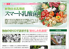 植物由来の進化した乳酸菌「スマート乳酸菌®」