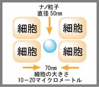 ナノカプセルの図