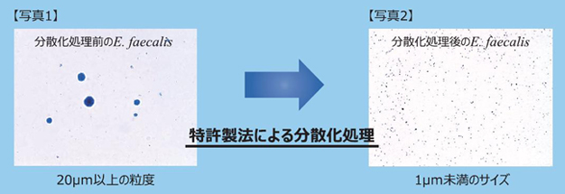 生きた乳酸菌をナノ型乳酸菌末と同等レベル摂取するためには膨大な量の製品を摂る必要がある