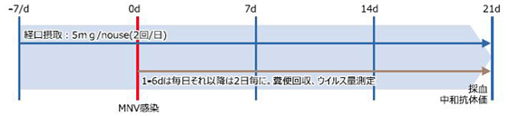 マウスによる試験