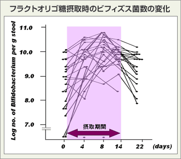 クラフトオリゴ糖摂取時のビフィズス菌数の変化