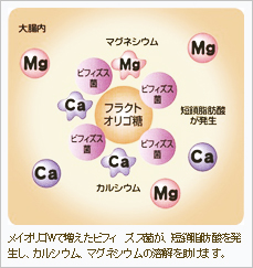 図1