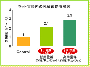 オリゴ乳酸（ラック）のラット盲腸内の乳酸菌培養試験結果