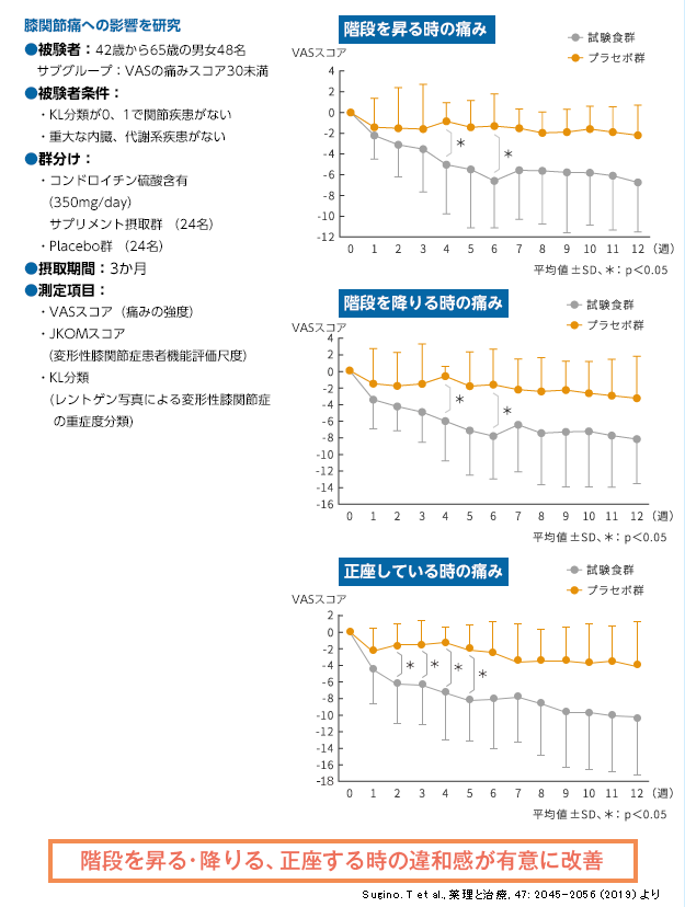 膝関節痛への影響を研究