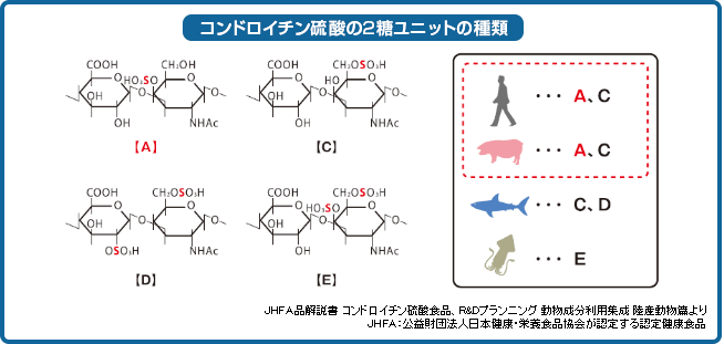 コンドロイチン硫酸の2糖ユニットの種類