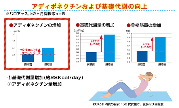 パロアッスルの脂肪燃焼効果　2か月摂取のヒト試験の結果