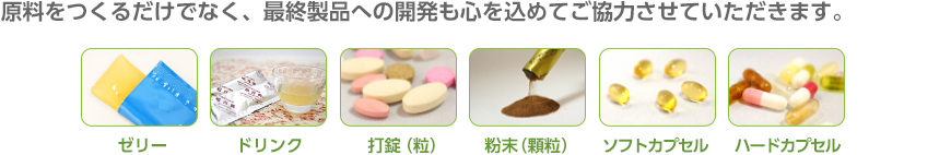 最終製品への開発