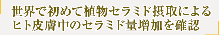 世界で初めて植物セラミド摂取によるヒト皮膚中のセラミド量増加を確認