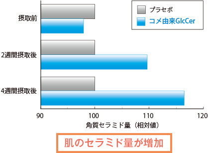 ラミド量を増加させる作用が確認された。