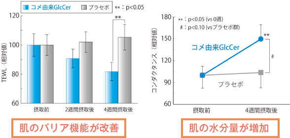 肌のバリア機能が改善