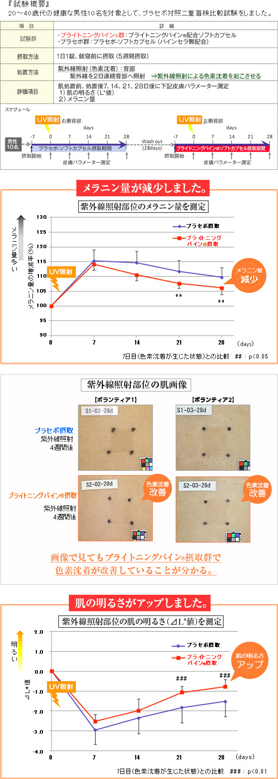 パインセラの進化系といえる「ブライトニングパイン®」の臨床試験