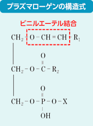 プラズマローゲンの構造式