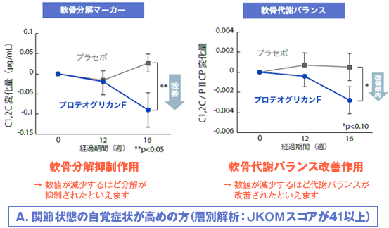 軟骨成分解抑制作用　臨床試験結果