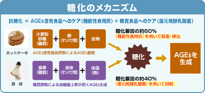 糖化のメカニズム