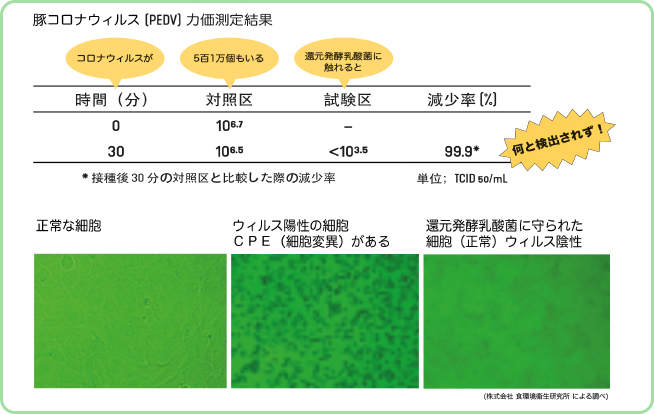 豚コロナウイルス力値測定結果