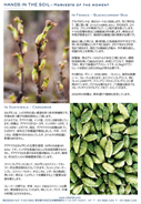 3月裏面