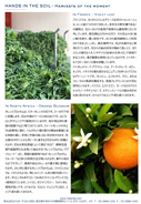 5月裏面